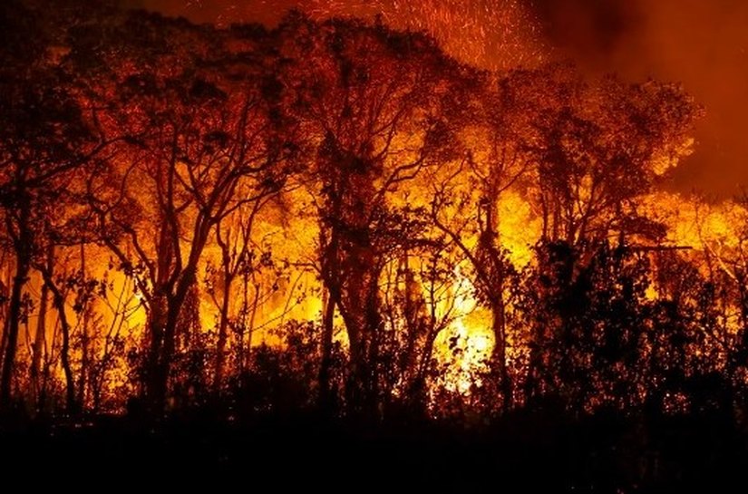 Pantanal tem mais de 3 mil incêndios em novembro; recorde histórico