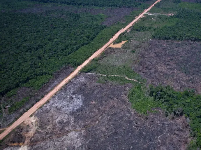 Desmatamento na Amazônia cai 36,87% no último ano