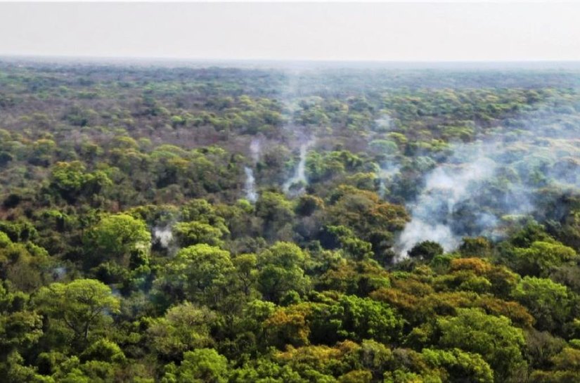 Primeiro incêndio de grande proporção no Pantanal é controlado pelo Corpo de Bombeiros