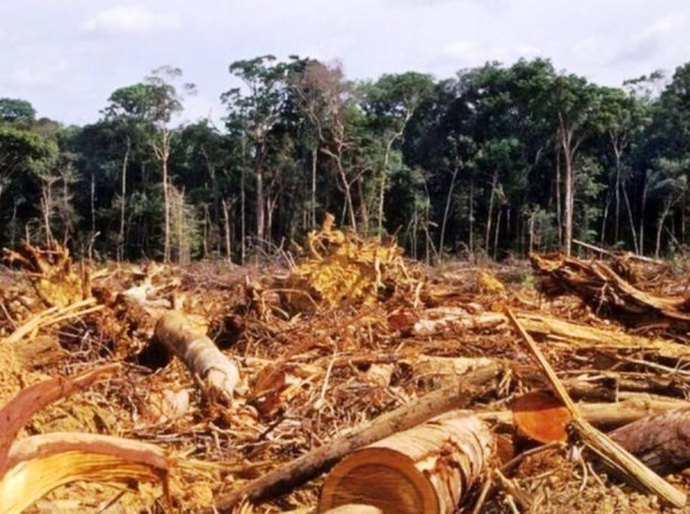 'Diminuir desmatamento requer vontade política, não financiamento', diz Noruega sobre pedido de US$ 1 bi de Salles para Amazônia