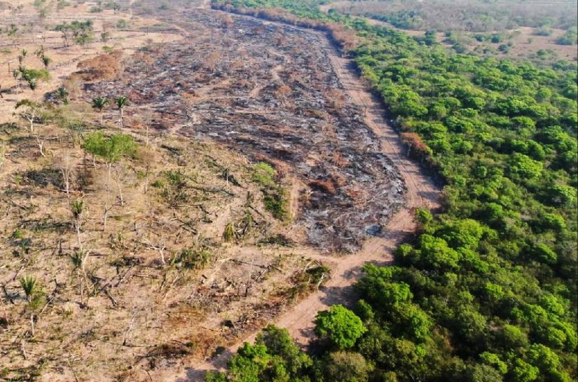 Operação Resiliência Pantanal apreende 5 tratores usados em desmatamento e evita queimadas