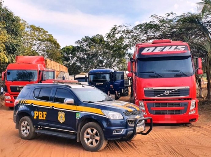 Veja Fotos: PRF realiza Operação Caapora III, e apreende mais de 800 m³ de madeira ilegal em MT