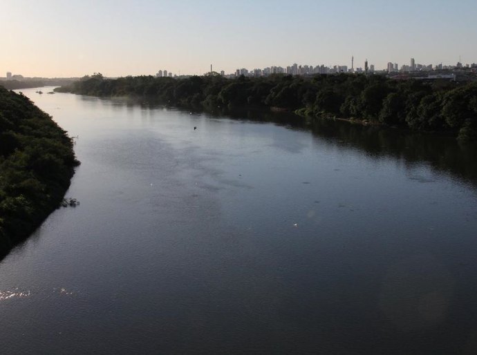 Pesca do pintado não está proibida em Mato Grosso, afirma Conselho