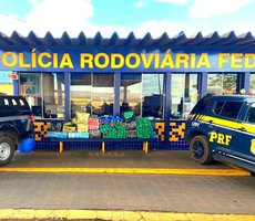 PRF e GCCO-PJC apreendem quase meia tonelada de maconha na BR-163 em Rondonópolis,MT