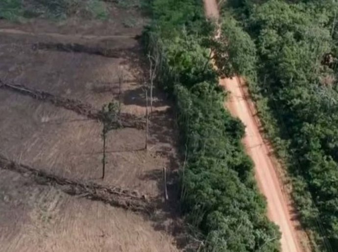 Amazônia Legal tem o maior desmatamento em 15 anos, aponta Imazon