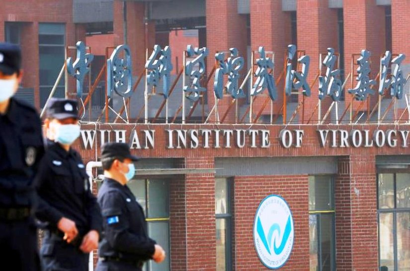 Origem do coronavírus: morcego e acidente de laboratório são pontos investigados