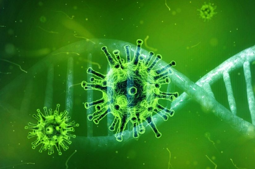 Covid 19 mata 49 pessoas nas últimas 24h em MT; Há 429.557 casos de infecções da doença
