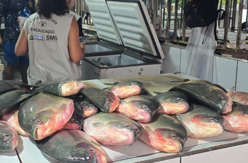 Operação conjunta apreende aproximadamente meia tonelada de pescado irregular em feira da Capital