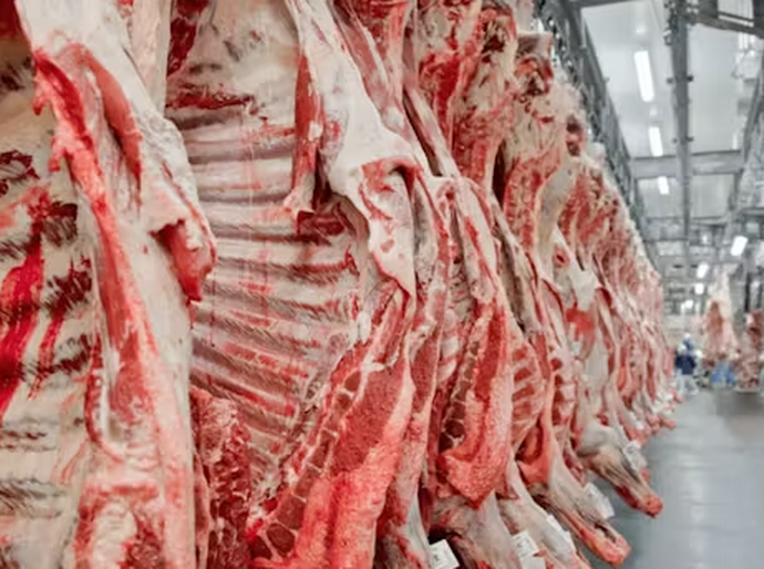 Alimentos e biocombustíveis puxam crescimento industrial de Mato Grosso em maio