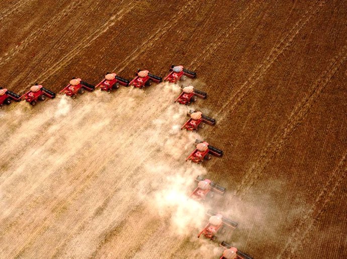 Embrapa: Brasil será maior exportador de grãos do mundo em cinco anos