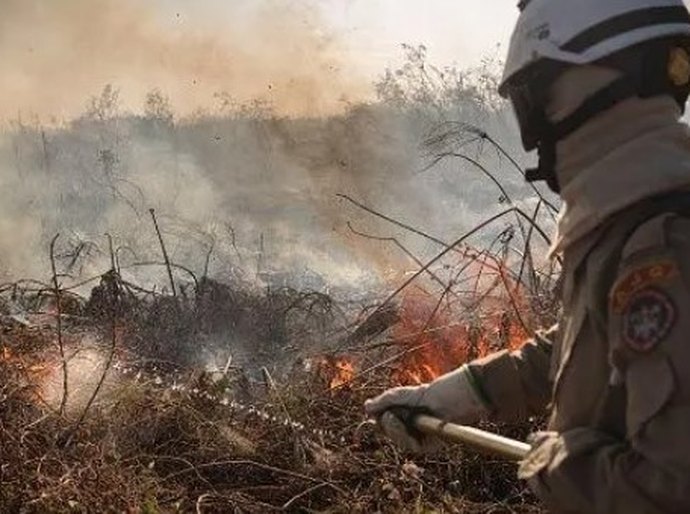 Amazônia e Pantanal têm piores queimadas das últimas duas décadas, alerta agência europeia