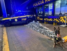 PRF apreende 176 kg de cocaína em compartimento oculto de caminhão na BR-364 em Rondonópolis, MT