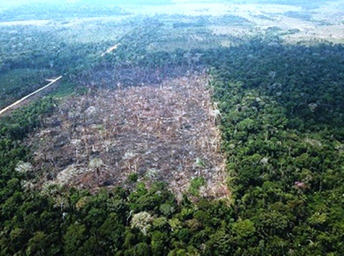 Herdeiros de fazenda em MT são condenado a pagarem 58, 5 milhões por degradação ambiental